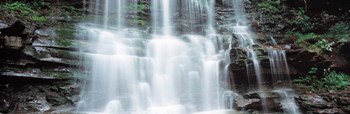 Pennsylvania, Ganoga Falls by Panoramic Images art print