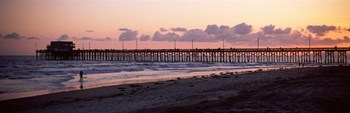 Newport Pier, Orange County, California by Panoramic Images art print
