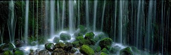 Shiraito Falls, Japan by Panoramic Images art print