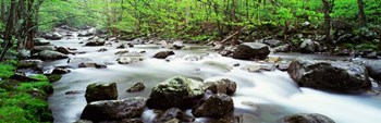 Great Smoky Mountains, Tennessee by Panoramic Images art print