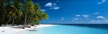 Beach Maldives by Panoramic Images art print