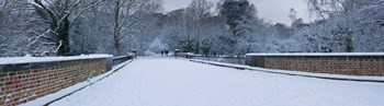 Hampstead Heath in Winter, London, England by Panoramic Images art print