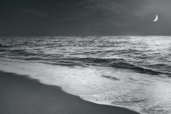 Moonrise Beach Black and White by Sue Schlabach art print