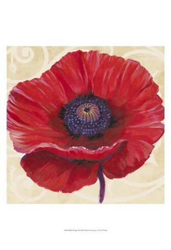 Red Poppy II by Timothy O&#39;Toole art print