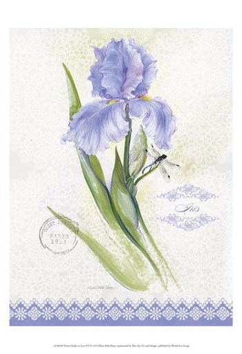 Flower Study on Lace VII by Elissa Della-Piana art print