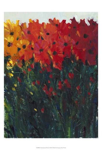 Color Spectrum Flowers I by Timothy O&#39;Toole art print