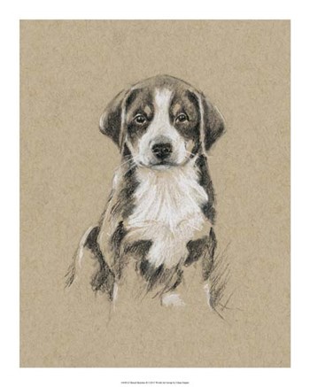 Breed Sketches II by Ethan Harper art print