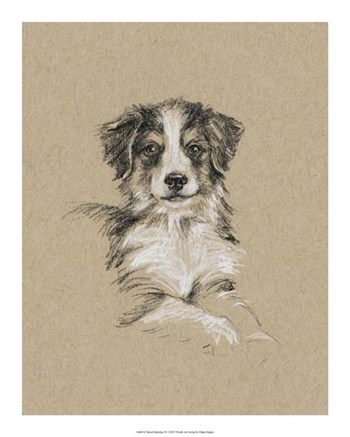 Breed Sketches IV by Ethan Harper art print