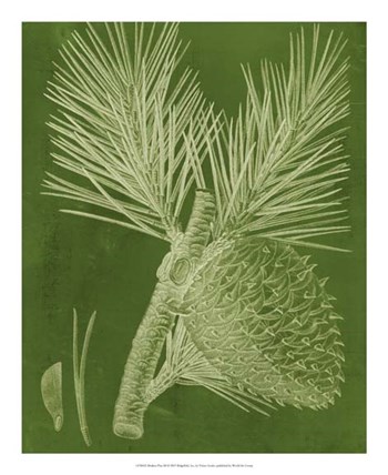 Modern Pine III by Vision Studio art print
