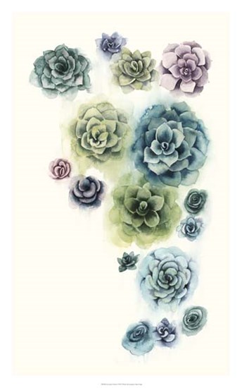 Succulent Cluster I by Grace Popp art print