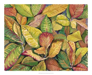 Tropical Close Up II by Timothy O&#39;Toole art print
