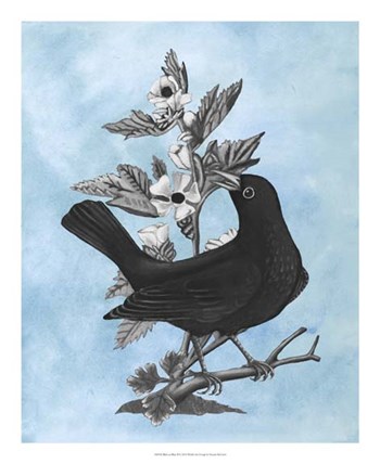 Bird on Blue II by Naomi McCavitt art print