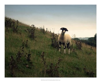 Wooly Friends II by Lillian Bell art print