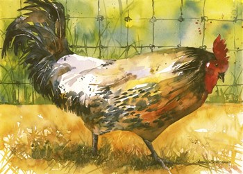 Chicken Fence by Annelein Beukenkamp art print