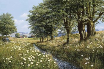 Beeches And Daisies by Bill Makinson art print