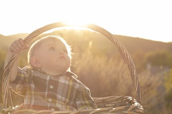 Basket Burst by Chris Moyer art print