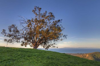 Island View by Chris Moyer art print