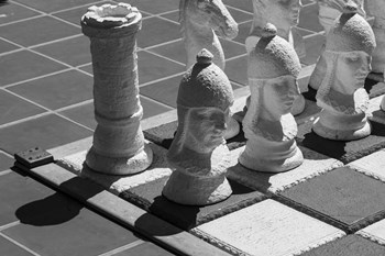 Your Move by Chris Moyer art print