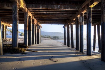 Under Stears by Chris Moyer art print