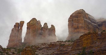 Sedona by Janice Sullivan art print