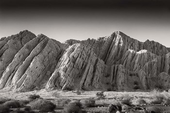 Mecca Valley by Janice Sullivan art print