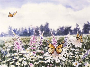 Wild Flowers &amp; Butterflies by Joel Ogard art print