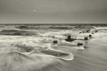 Pelican Chorus by Geoffrey Ansel Agrons art print