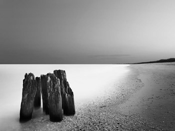 The Caucus Race by Geoffrey Ansel Agrons art print