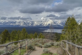 Jackson Lake Overlook G by Galloimages Online art print