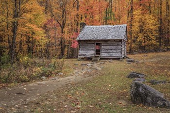 Alex Cole Cabin by Galloimages Online art print