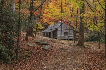 Bud Ogle Place -Composition 2 by Galloimages Online art print