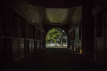 Horse Farm Barn (Inside And Out) by Galloimages Online art print
