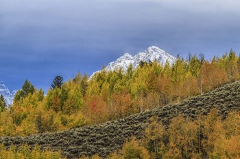 Mountain Fall Color by Galloimages Online art print