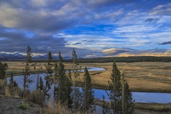 S Curve Hayden Valley by Galloimages Online art print
