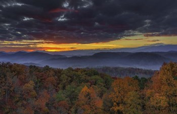 Smokies Sunrise by Galloimages Online art print