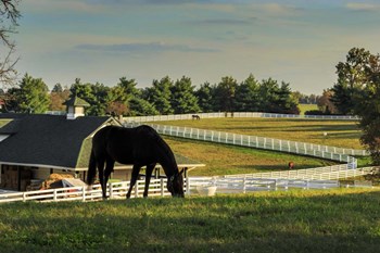 Sunset On The Farm by Galloimages Online art print