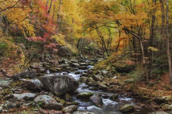 Tremont Stream Watercolor by Galloimages Online art print