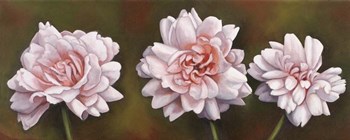 Summer Blossoms 5 by Debra Lake art print