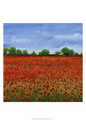 Field of Poppies I by Timothy O&#39;Toole art print