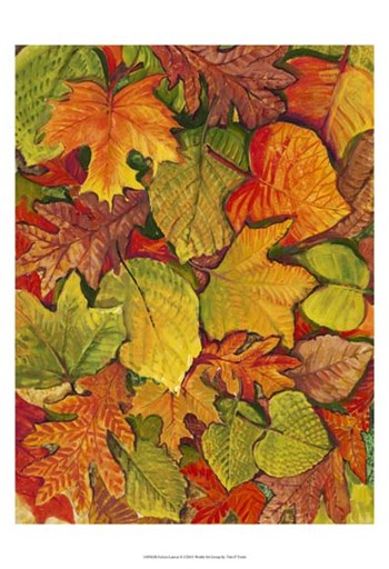 Fallen Leaves II by Timothy O&#39;Toole art print