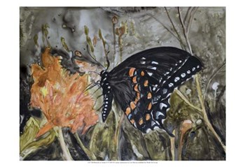Butterfly in Nature IV by B. Lynnsy art print