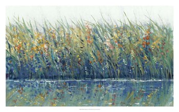 Wildflower Reflection I by Timothy O&#39;Toole art print