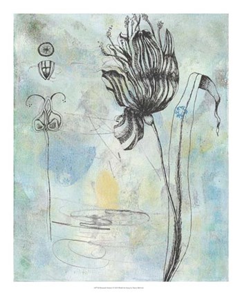 Botanical Abstract I by Naomi McCavitt art print