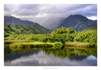 Coastal Marsh III by Danny Head art print