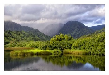 Coastal Marsh IV by Danny Head art print