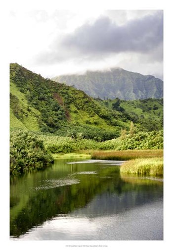 Coastal Marsh Triptych I by Danny Head art print