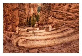 The Switchbacks by Danny Head art print