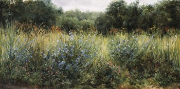 Dorset Wildflowers by Kathie Thompson art print