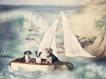 Ruff Seas by Liz Zernich art print