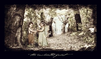Enchanted Forest by Liz Zernich art print
